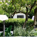 BBQ Garden (4)