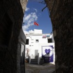 FARM Cultural Park
