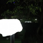bbq garden