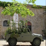 farm camp butera (2)