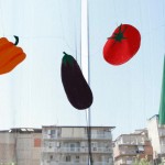Orto Negato