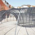 Orto Negato